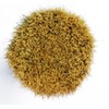 Chalk Mountain Furniture Paint's Ergonomic Large Palm Wax, Upholstery and