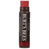 Burt's Bees, Lip Balm Tinted Daisy, 0.15 Ounce