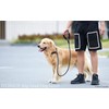iYoShop Durable Slip Lead Dog Leash with Padded Handle and