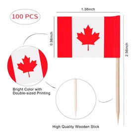 100 Pieces Canada Flag Toothpicks, Small Food Cupcake Topper for Canada Day Decorations, Mini Stick Flags Deco Toothpick for Cocktail Sandwiches Ice Cream Fruit Appetizers Burgers