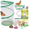 Insect Lore Butterfly Garden - Pavilion School Kit with 33