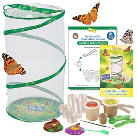 Insect Lore Butterfly Garden - Pavilion School Kit with 33 Live Caterpillars - 2ft Tall Habitat, STEM Activity Journal, Cups & Tools Included - Immersive Classroom Life Cycle Learning