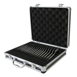 17-Piece Spade Bit Set with Case (6")