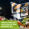 MEYAGOT Fish breeding box, aquarium fish breeding box, fish brood
