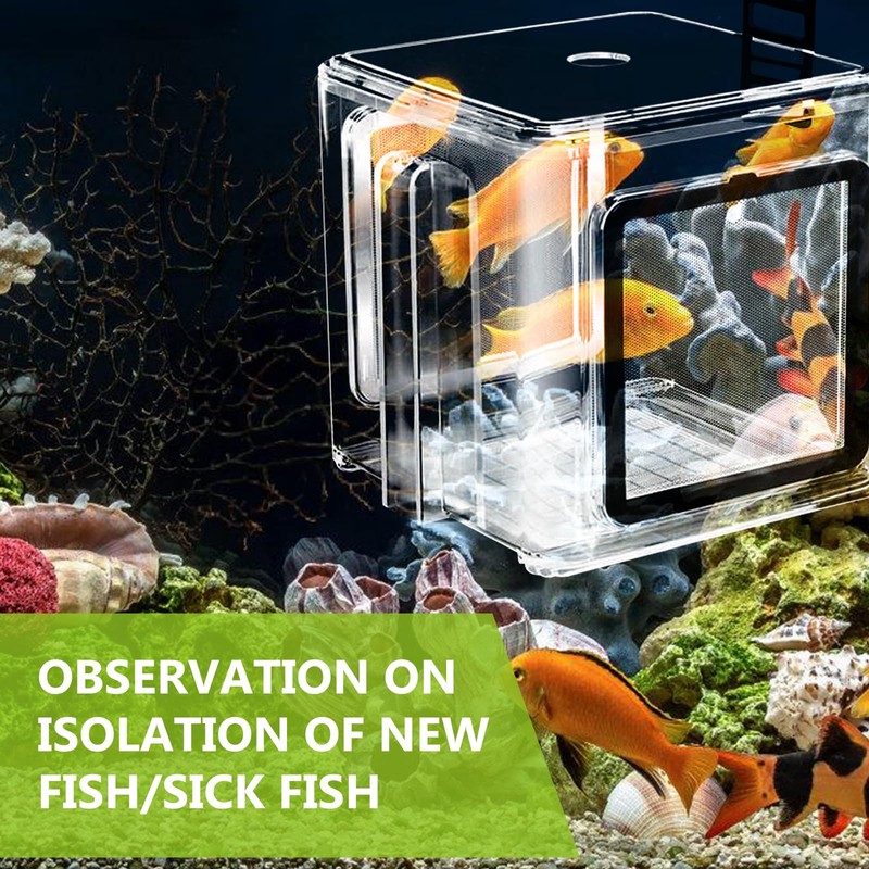 MEYAGOT Fish breeding box, aquarium fish breeding box, fish brood