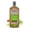 Tio Nacho Aloe Vera Deep Repair Shampoo: Organic Aloe Vera