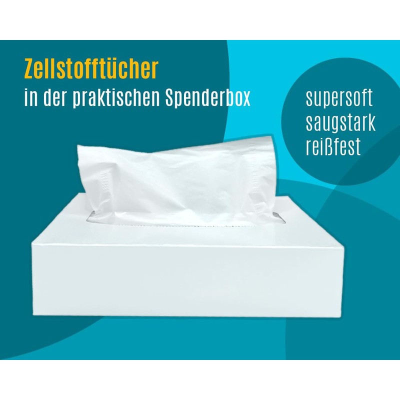 DE Healthcare Products Facial Tissues (1000 Pieces) 2 Ply Tissues
