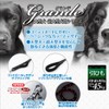 ペティオ (Petio) グランデ ダブルクッション付 リード ブラック 大型犬用 20mm