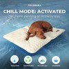 Pelsbarn Dog Cooling Mat- Ice Silk Summer Comfort, Self Cooling,