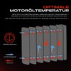 Frankberg Oil cooler Compatible with Sprinter 2-T B901 B902 3-T