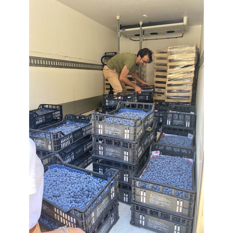 Lake Como Blueberry Juice, from Lombardia - Marco Colzani -