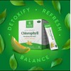 Detox Duo Bundle – Lime Chlorophyll Stick Packs & Lymphatic
