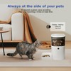 Automatic Cat Feeder, 4L Cat Food Dispenser with 10s Voice