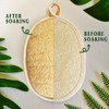 Pack of 2 Premium Biodegradable Natural Loofah Sponge Exfoliating Body