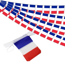 France String Flag Pennant Banner - 38 Flags, 42 Feet Small Mini French Flags Bunting Banner for Country Decoration, School, Party, Sports Events