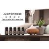 Juniper Ridge Cascade Forest Essential Oil - Crisp Woodsy Autumnal
