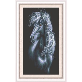 Abillyn Embroidery Cross Stitch Kits Black Horse Stamped with Printed Pattern Starter Kit (Horse)