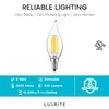 LUXRITE Vintage Candelabra LED Bulb 60W Equivalent, 550 Lumens, 3500K