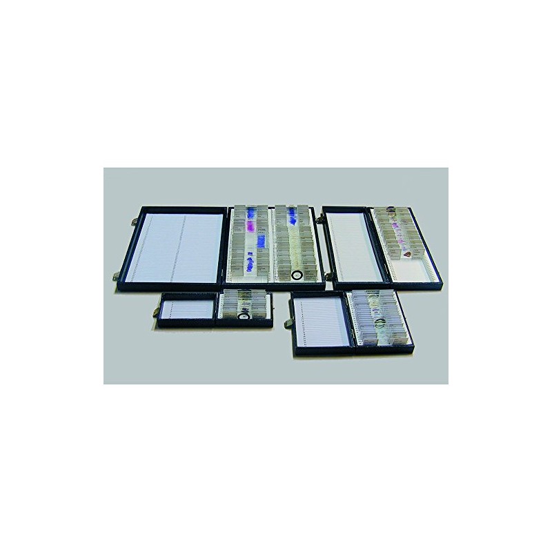 Windaus Slides Box for 100 Slide (Strap not included)