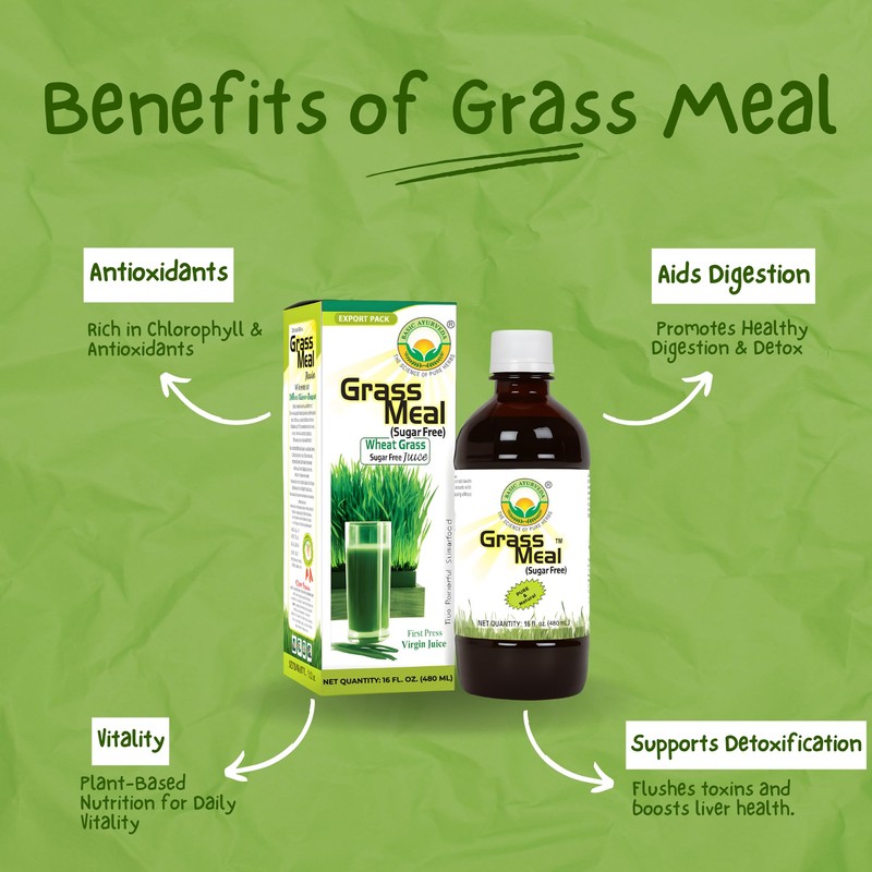 Basic Ayurveda Wheatgrass Meal Juice with No Added Sugar |