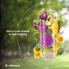 Milk Thistle High Strength 6000mg (3 Months) with Dandelion &
