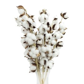 SuperMoss Cotton Stems Proflora All Natural Dried 9 Ball - 54pcs, 24” Cotton Sprigs for Home Decor, Wedding Decor, Farmhouse Wall Decor, Vase Filler, and Floral Arrangements, 6 Pack, (99999)
