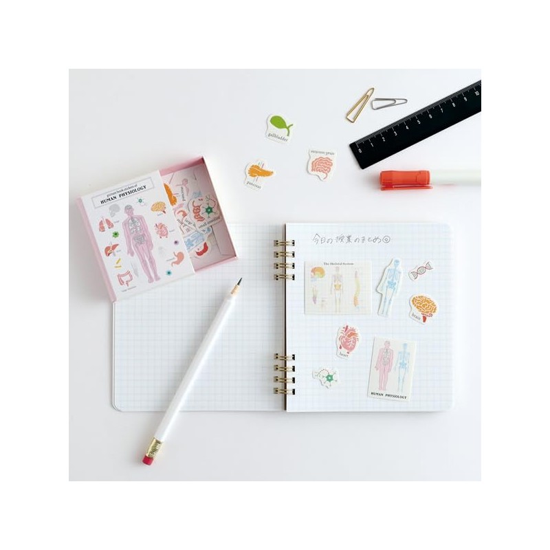 Green Flash Note STUDY HOLIC Ring Notebook - Square Microbiology