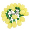 9.8ft 20LEDs Fruit String Lights Battery Operated String Lights for