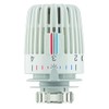 SOMATHERM FOR YOU, 601522809, Testa termostatica M30x1,5 ad alte prestazioni