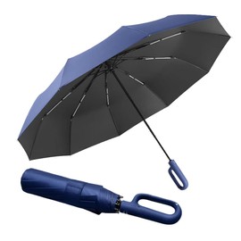 erised's bifrost Extra Large Windproof Travel Folding Compact Golf 54‘’ Umbrella Automatic Open/Close,Lightweight Portable Parasol Outdoor,Sun/Rain,99 UV Protection,Perfect Carabiner Handle Design