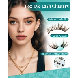Obeyalash Brown Eyelash Clusters Wispy Individual Lashes 120pcs Cluster Lashes Natural Look C Curl Cat Eye Lashes 6-12mm Soft and Lightweight by DIY at Home(Zk28)