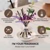 COCODOR Lavender Reed Diffuser/White Jasmine/6.7oz/1Pack / Home Fragrance Scent Essential