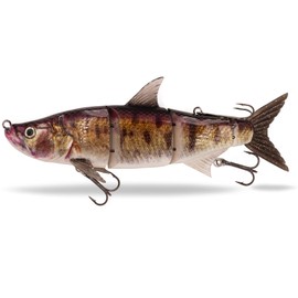 FISHN® TRAWL27 - XL Swimbait, Magnetic Top Hook System, Diving Depth: 2-5 Metres, 27 cm, 218 g, Slow Sinking, 3 Taking Points, Large Trolling Bait for Pike Fishing (TRAWL27 Pike Perch)