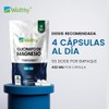 Wellthy Glicinato de Magnesio 220 Cápsulas 432mg. 100% Natural, Cápsulas