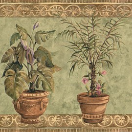 Concord Wallcoverings Wallpaper Border Floral Pattern Plants Shells Flowers for Dining Room Living Room Bedroom, Beige Brown Green, 15 Feet by 9 Inches TK6313B