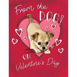 Piccadilly Greetings Valentine's Day Card, From the Dog - 8 x 6 inches