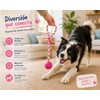 PETS&MORE Pelota con Cuerda Azul