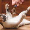 Cat Toy Refill - Stress Kitten Teaser Toys - Kitten