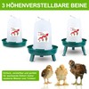 ZenxyHoC Chick Automatic Feeder and Drinker Set, 1 kg Chicken
