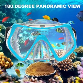 Snorkel Set Adults,Snorkel Mask Anti-Fog Panoramic View Diving Mask Dry Top Snorkel Kit Anti-Leak Snorkeling Gear for Snorkeling Scuba Diving Swimming Travel with Carry Bag