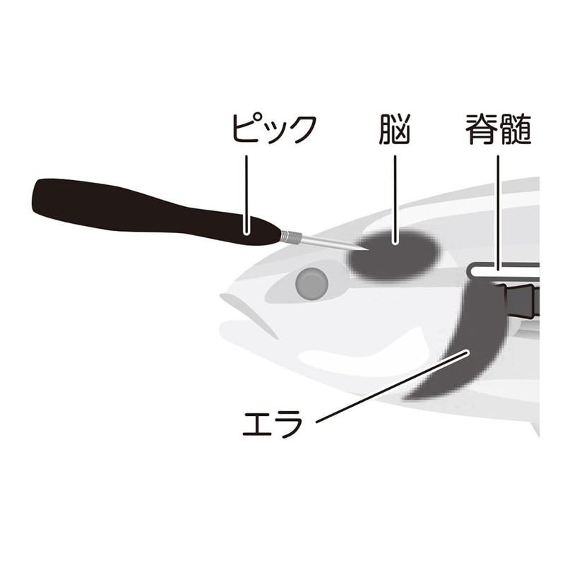 belmont（ベルモント） MP-219 活け締めピック ショート 日本製 燕三条