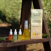 The Jojoba Company Jojoba Boost Discovery Pack