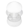 Rain Cloud Humidifier Water Drip 300ml Mushroom Rain Diffuser with