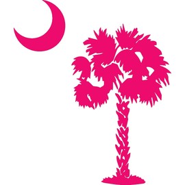 NBFU Palmetto Tree Moon (Pink) (Set Of 2) Premium Waterproof Vinyl Decal Stickers For Laptop Phone Accessory Helmet Car Window Bumper Mug Tuber Cup Door Wall Decoration