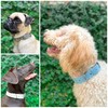 Tuff Pupper Classic Heavy Duty Dog Collar | 10x Stronger