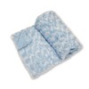 Baby Rosebud Coral Fleece Wrap Blanket - 4 Colours (Sky)