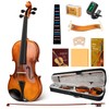 CAHAYA Violin 4/4 Full Size - Full Wooden Violin Set