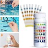 Pack of 100 Pool Test Strips, Test Strips Pool pH