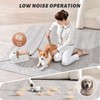Einoor Professional Pet Grooming Vacuum Kit 3L Capacity, 7 Changeable