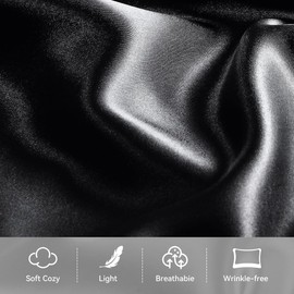 【2 Pack】 Mulberry Satin Silk Pillowcase, H HOME-MART 20"x 30" Satin Silk Pillowcases for Hair and Skin, Queen Size Pillow Case with Envelope Closure(Black)